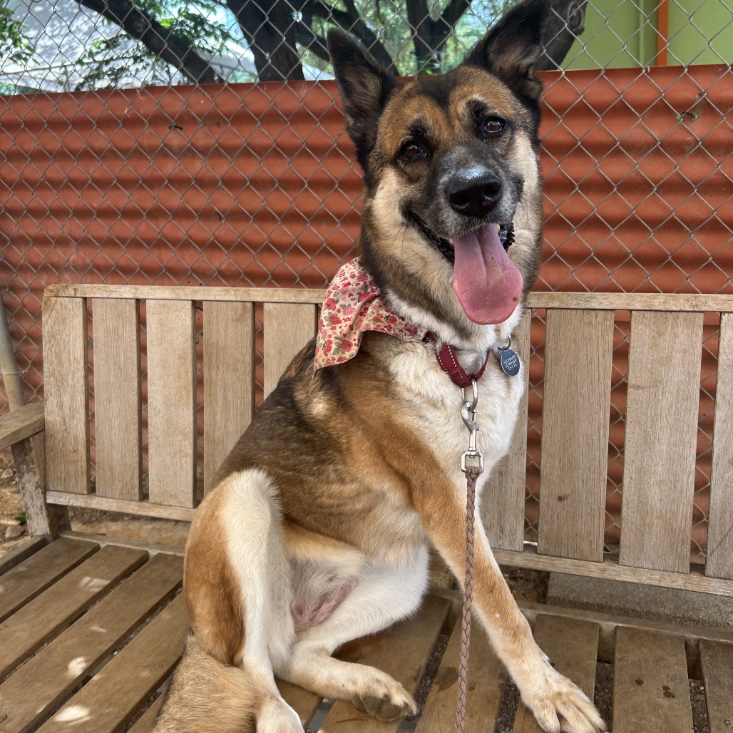 Cheyenne, additional photo