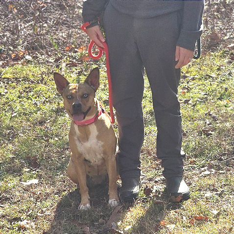 Persephone — thumbnail 8