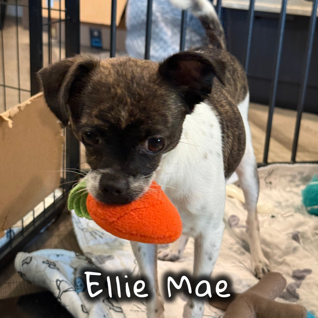 ELLIE MAY, photo 9