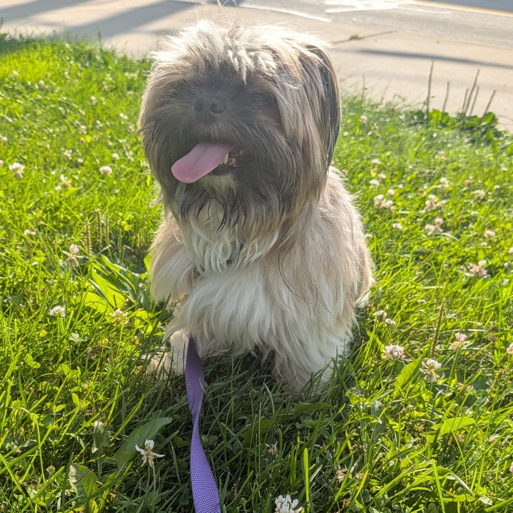 Photo of Marvin 5