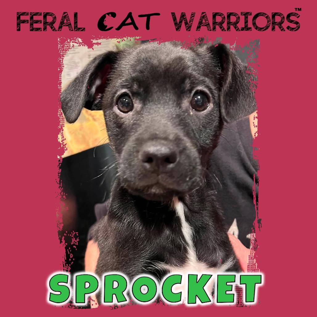 Sprocket