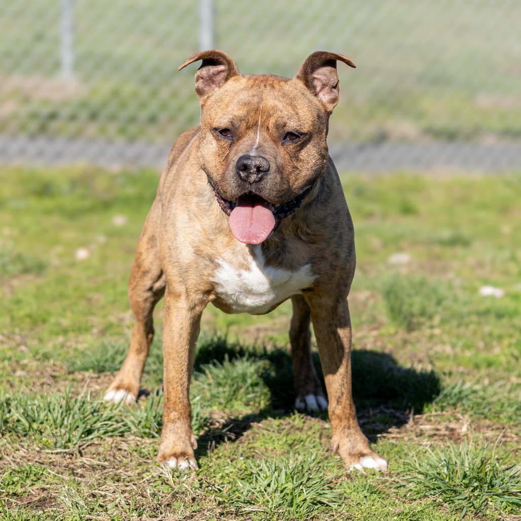 Zeus, additional photo