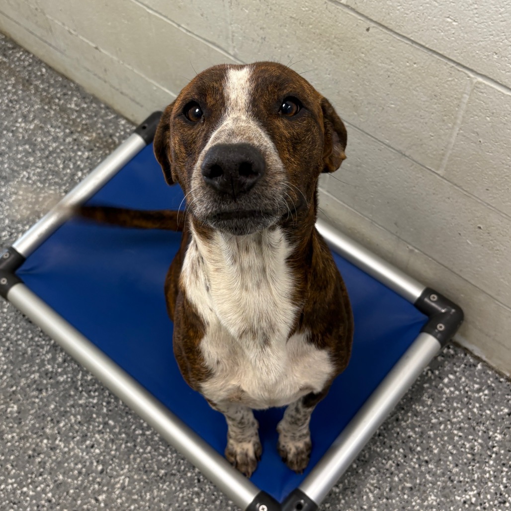 Mater — thumbnail 2