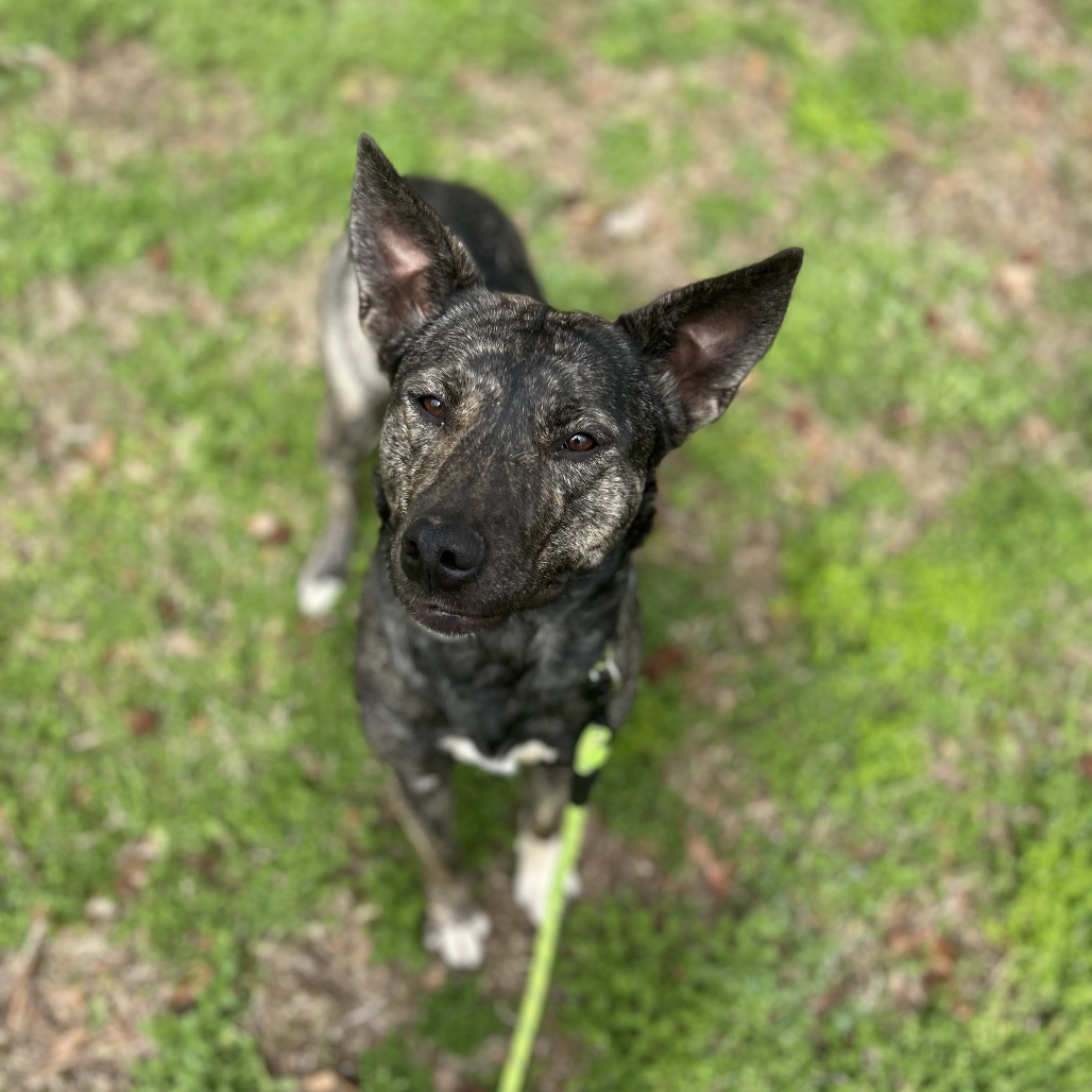 Evey — thumbnail 5