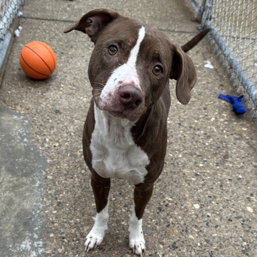 Kiara — thumbnail 4