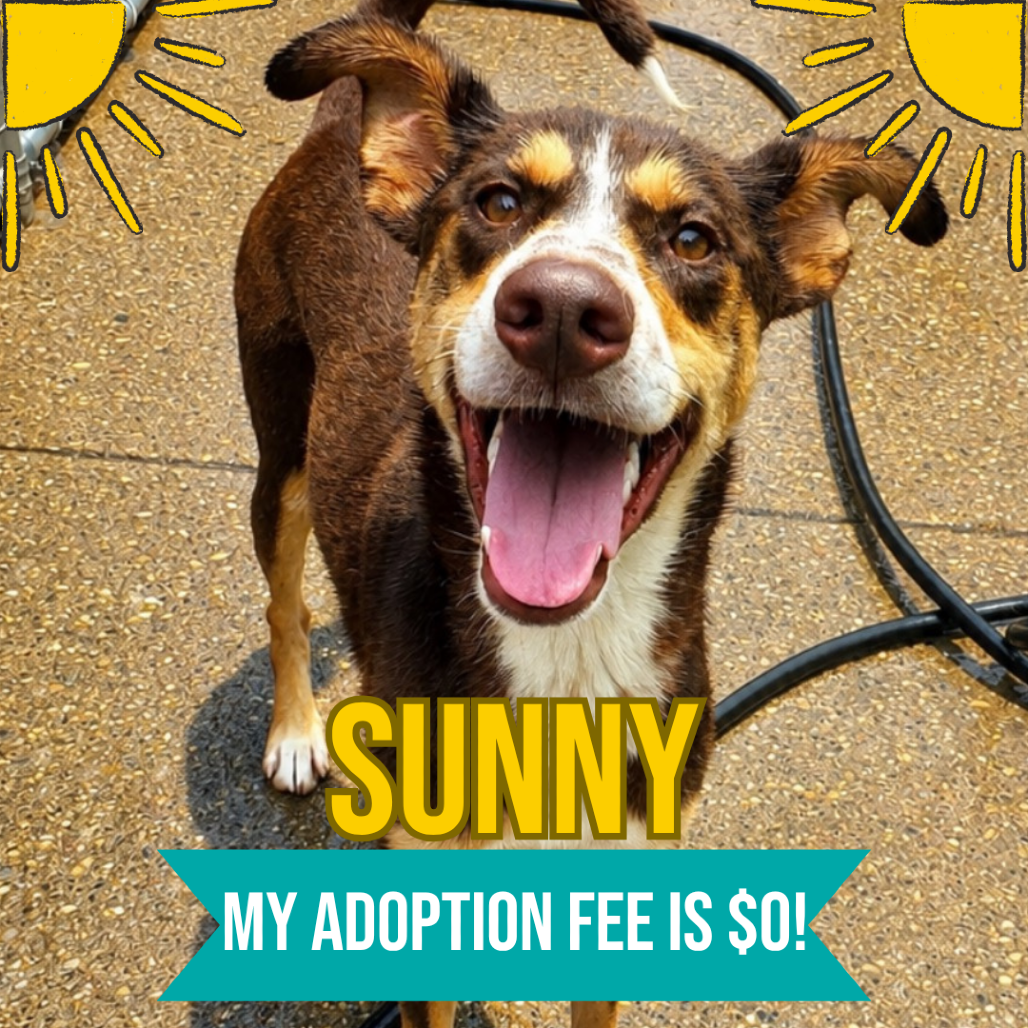 Sunny fka Athena, photo 6