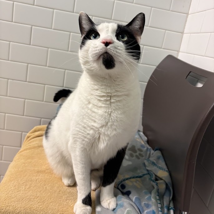 Photo of QZ and Freddy