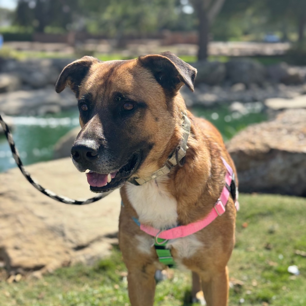 Bubz, photo 21