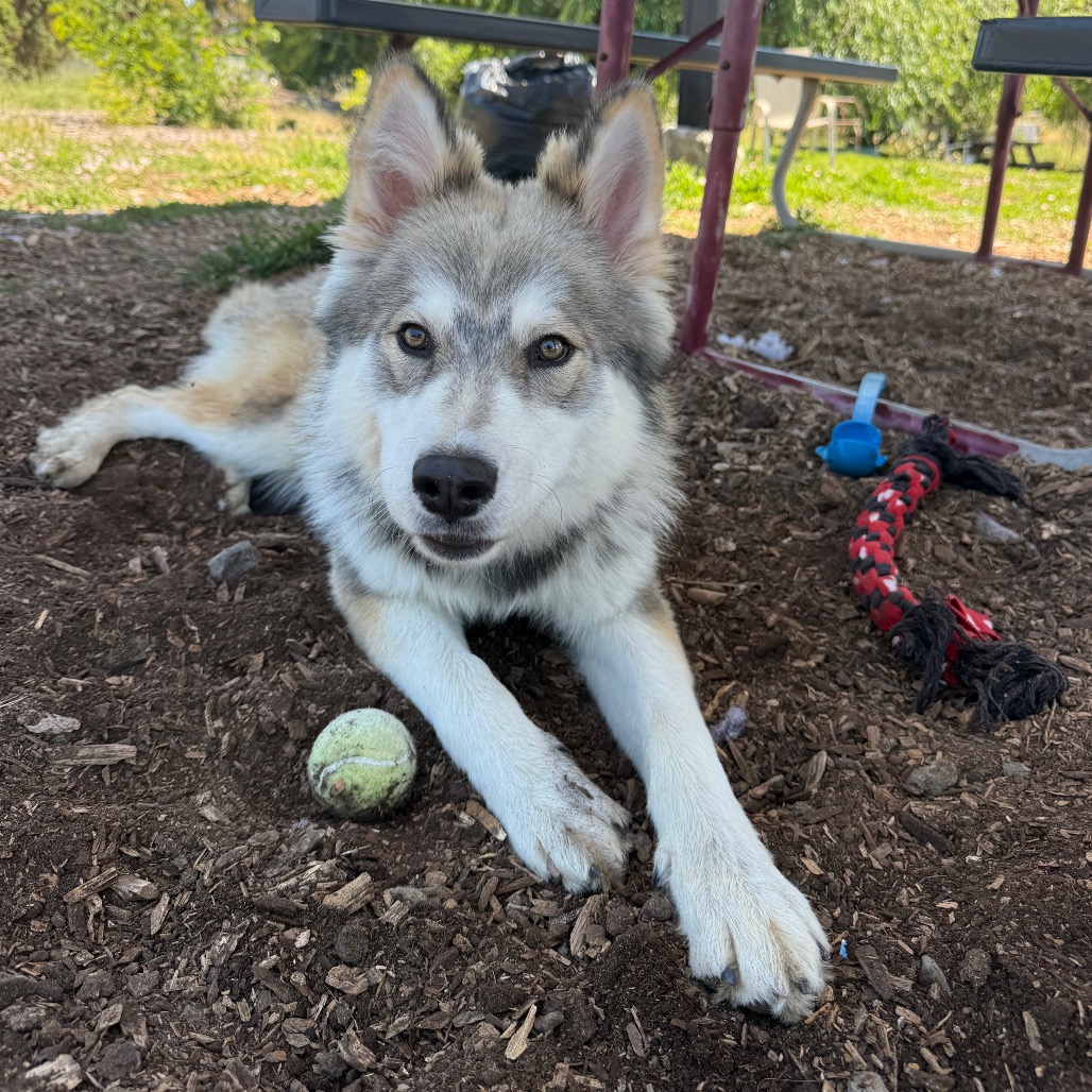 GUSTAV, photo 14