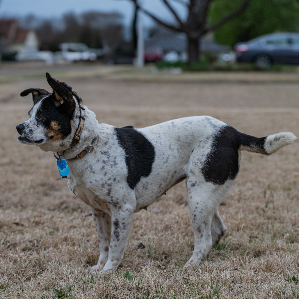 Lilo (Formerly Wish), photo 4