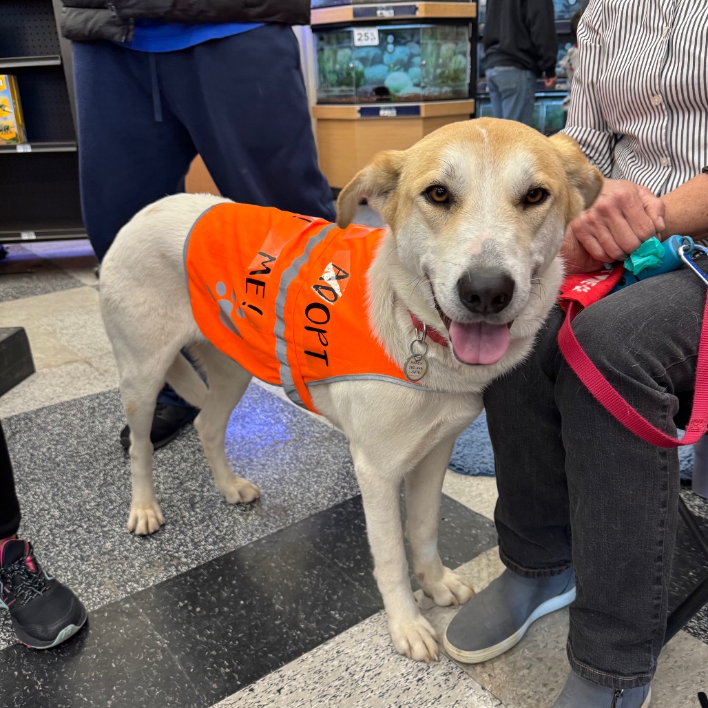 Colby (Courtesy Listing) — thumbnail 5