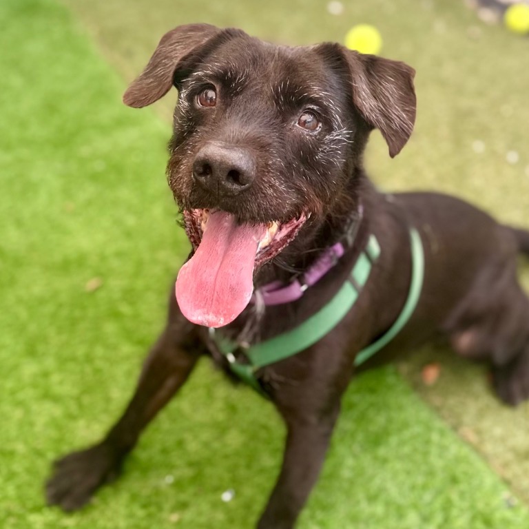 Another portrait of Scraggles