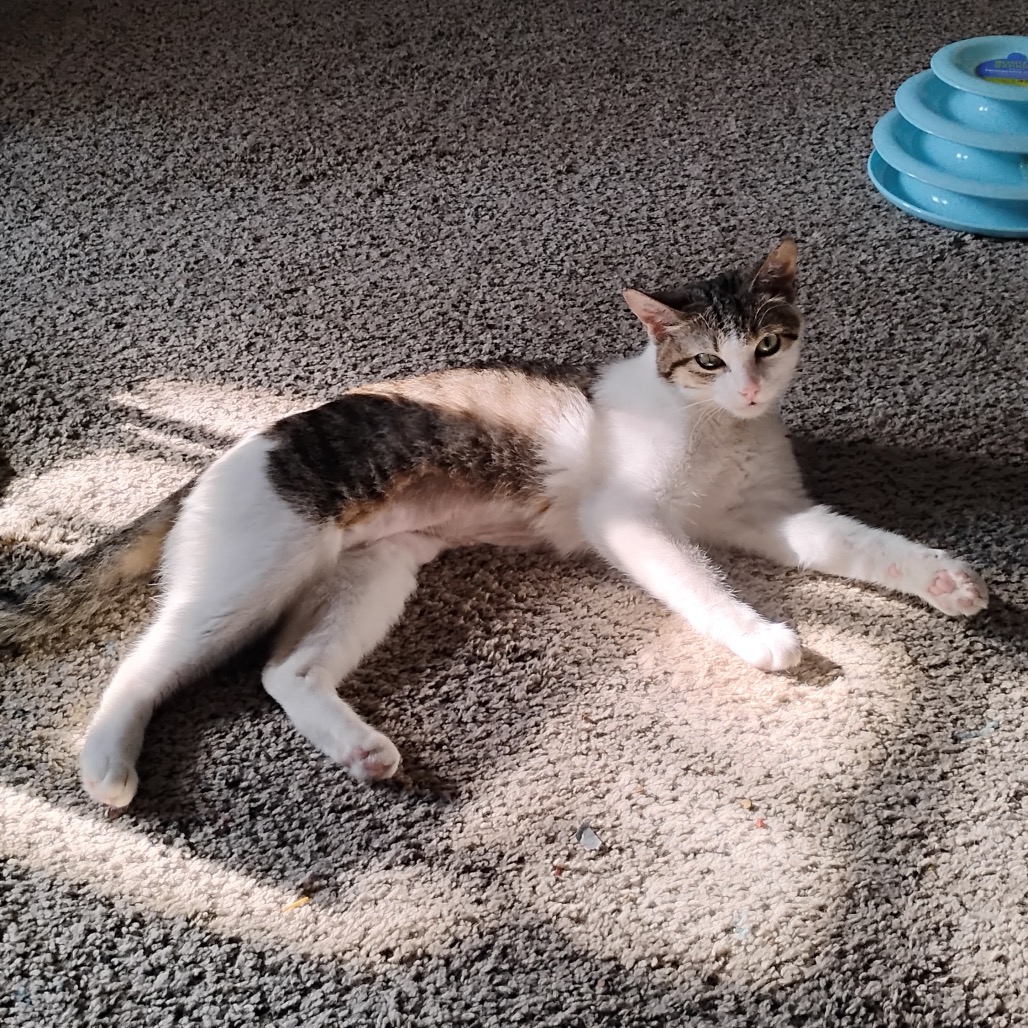 String Bean, photo 7
