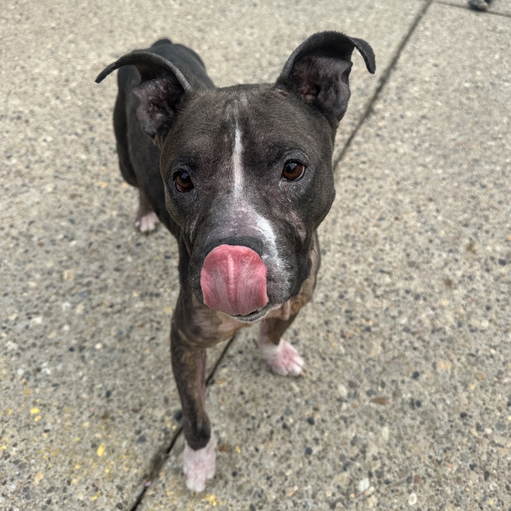 Gwen — thumbnail 3