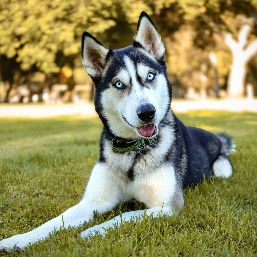 OAKLEY, photo 15