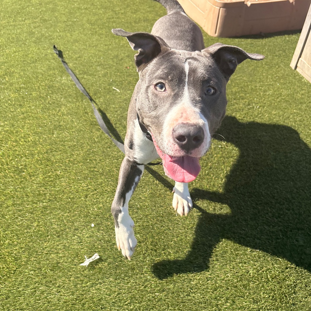 Bubbaley — thumbnail 4