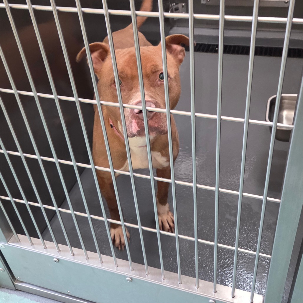 Emily — thumbnail 4