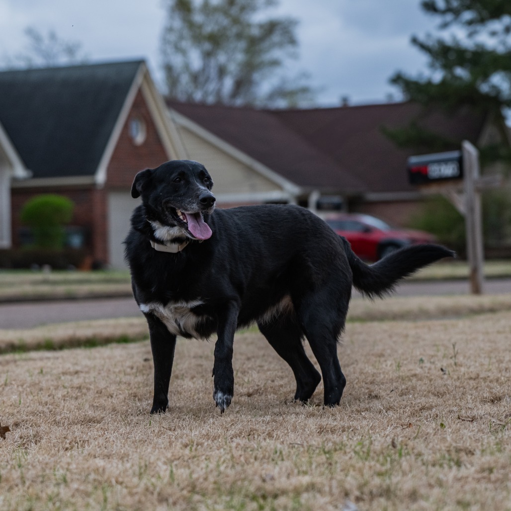 Hannah, photo 6