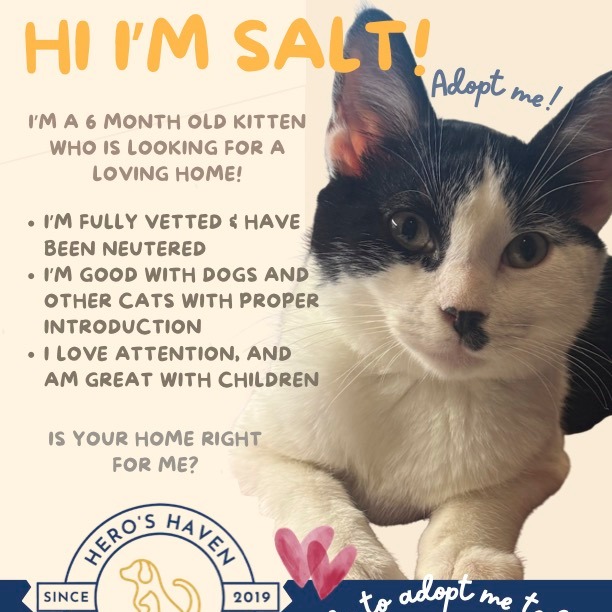 Salt, adopted