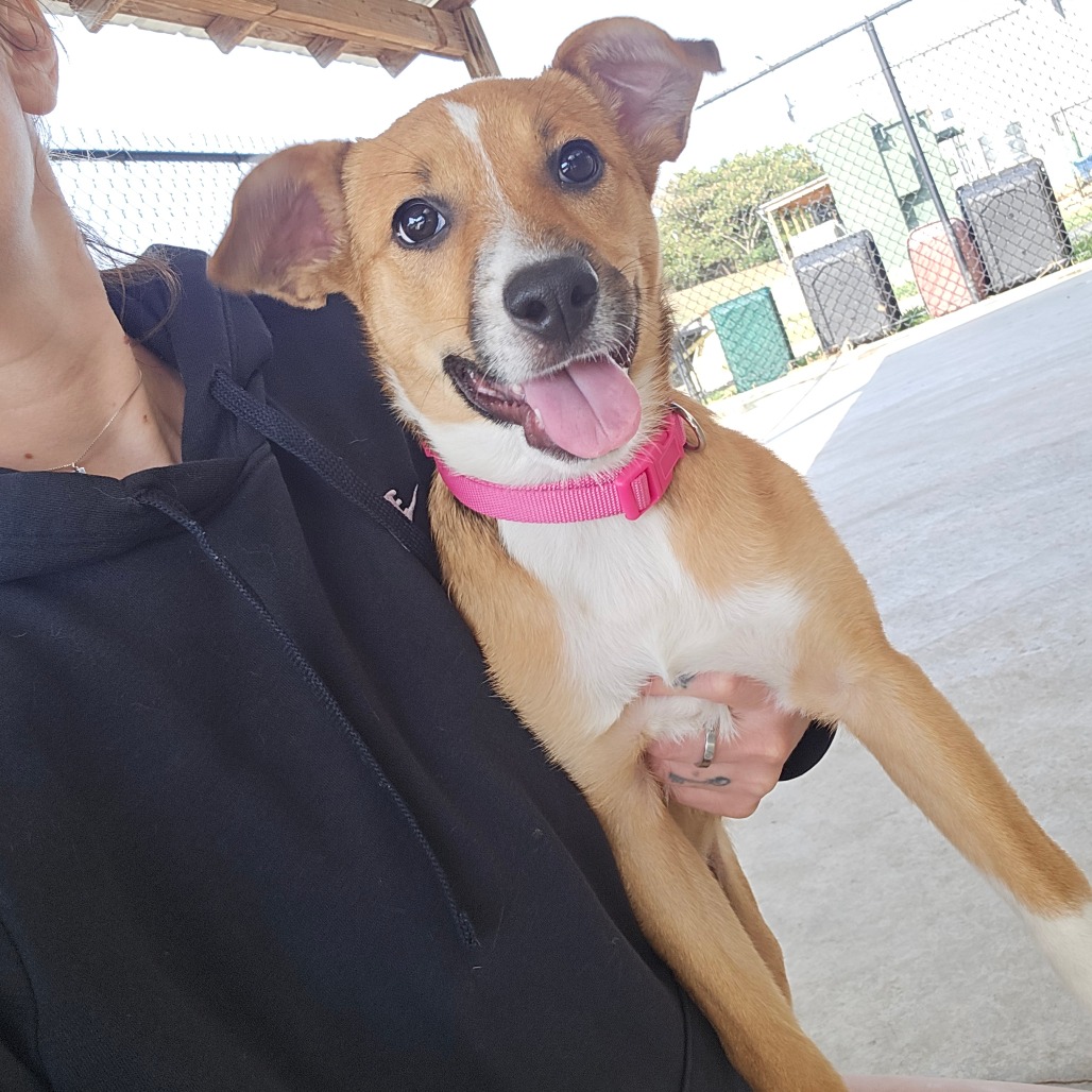 Shirley - 090404U