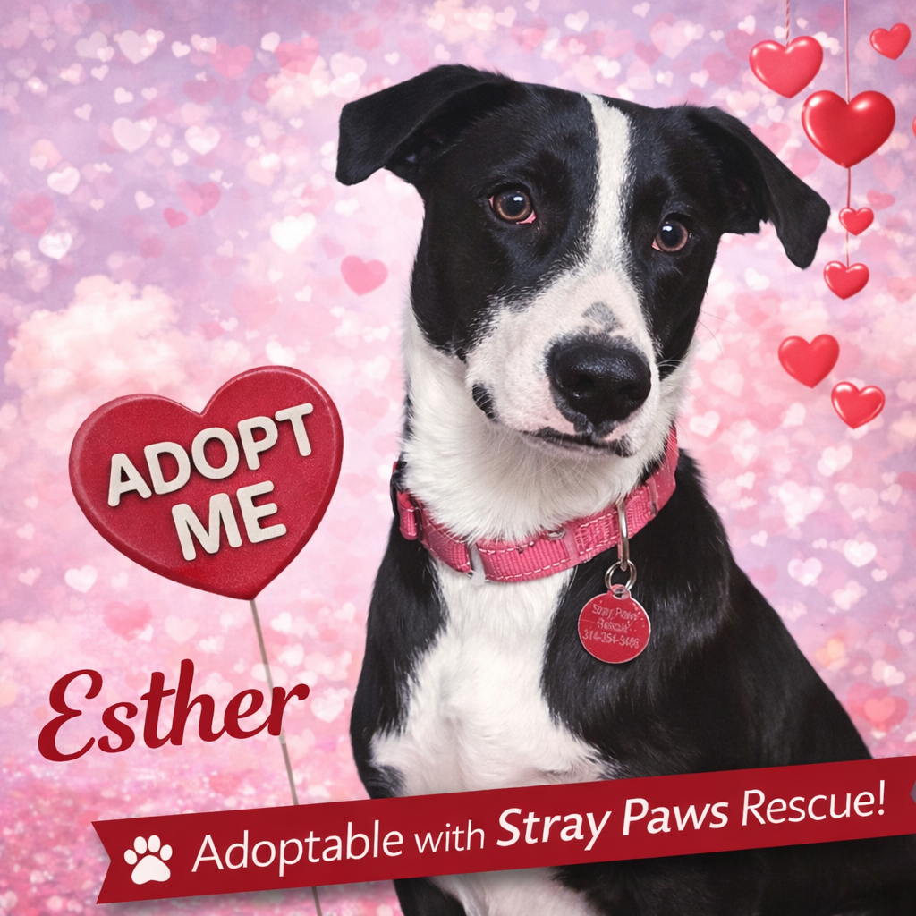 Esther