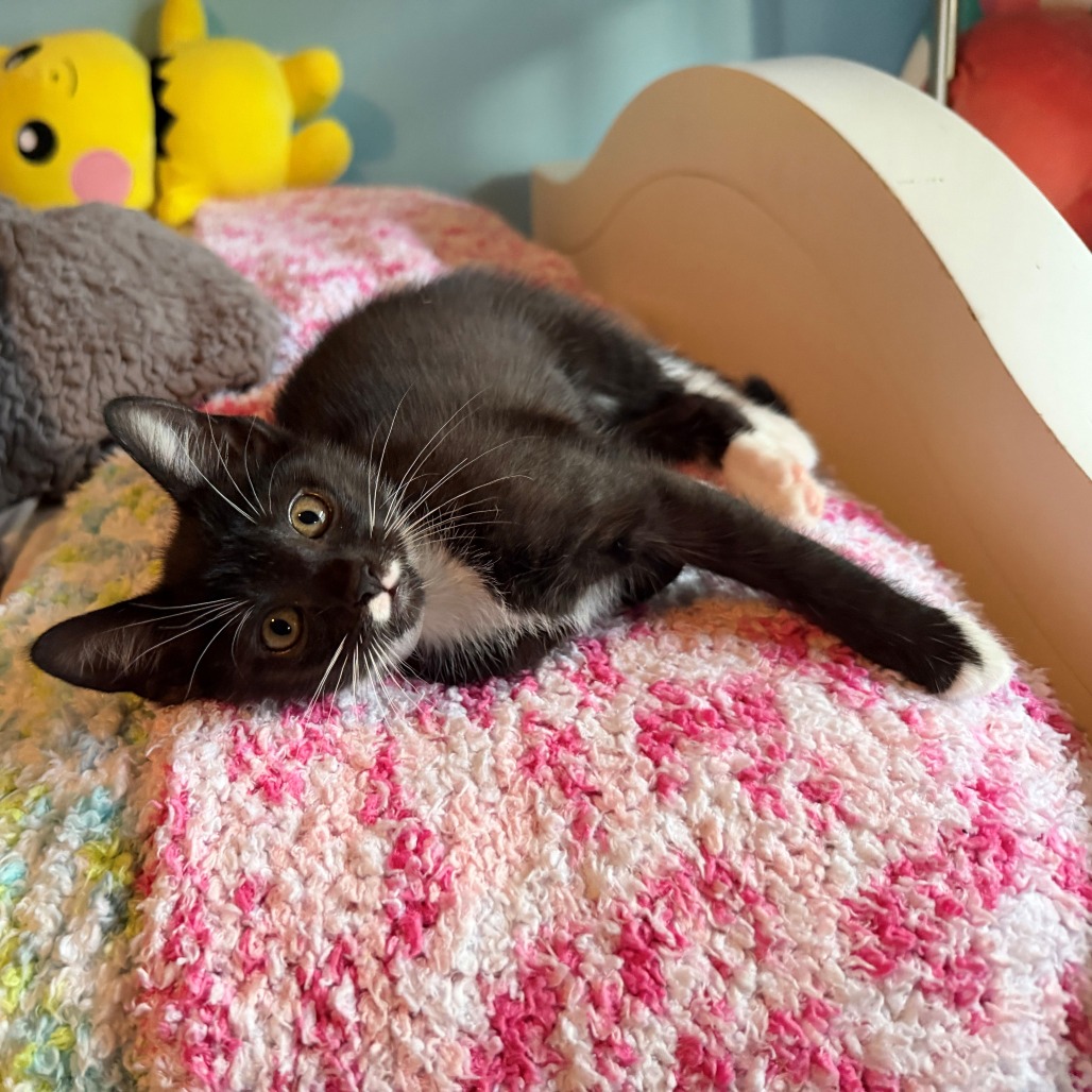 Pixel, photo 2