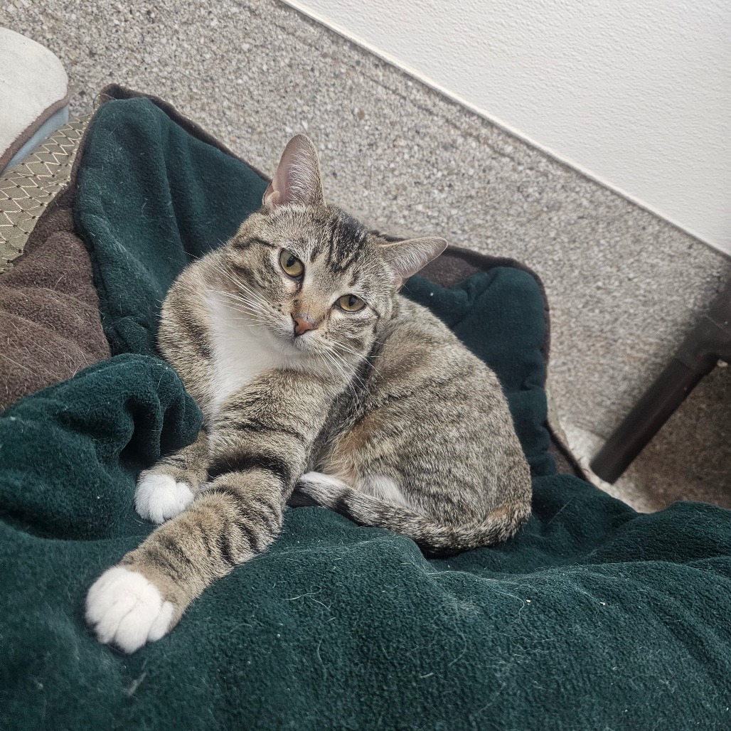 Mavi — thumbnail 4