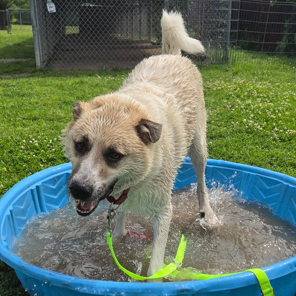 Charlie photo 5