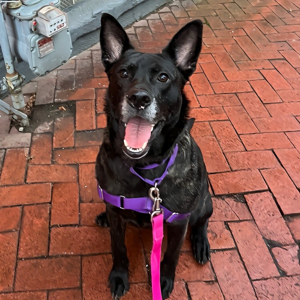 Photo of Catalina 25