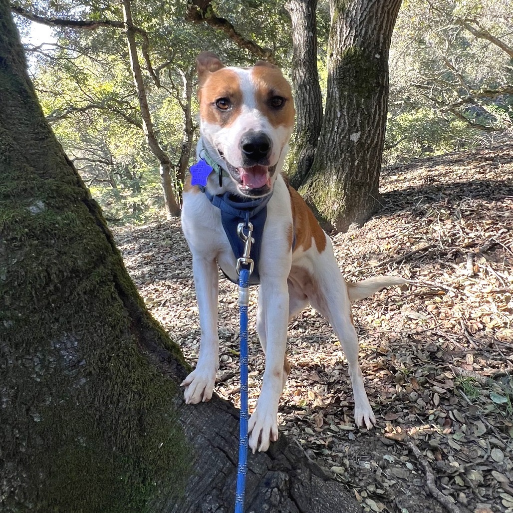 Lucille — thumbnail 2