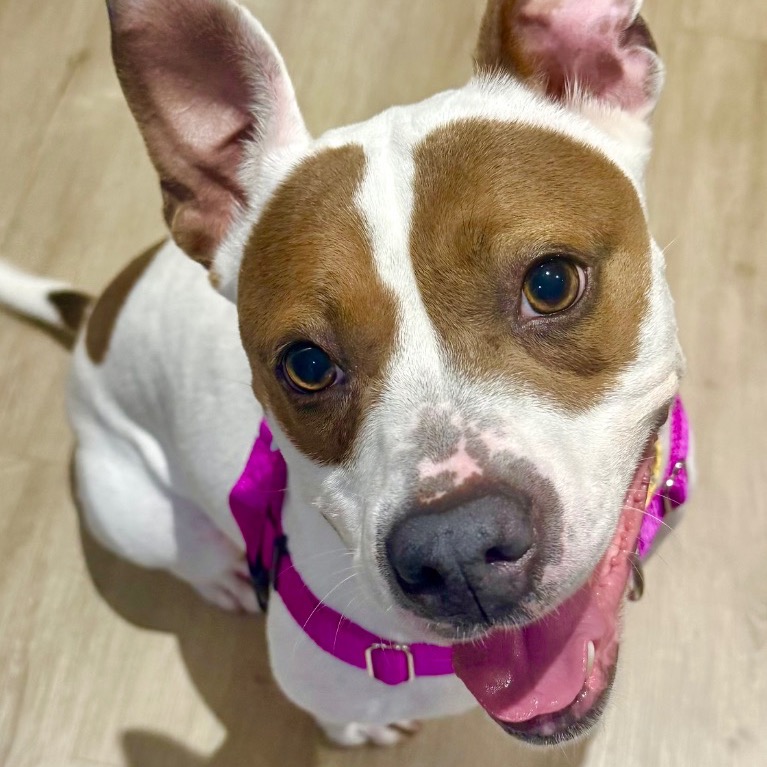 Full body shot of Mistletoe