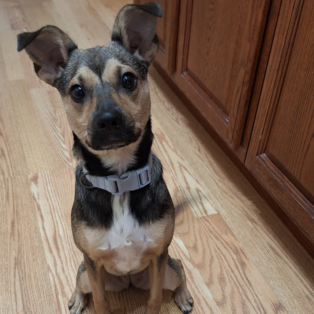 Miles — thumbnail 2