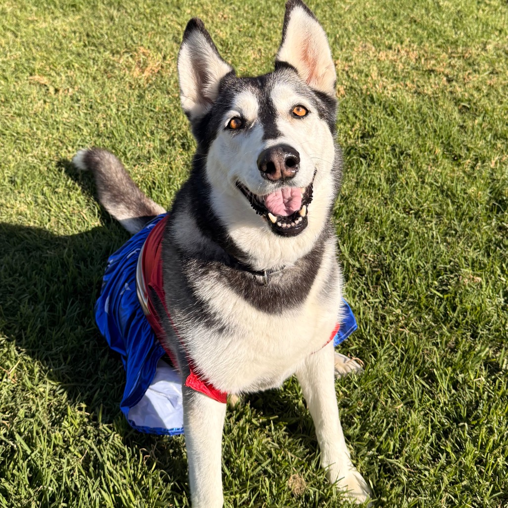 Tundra, photo 21