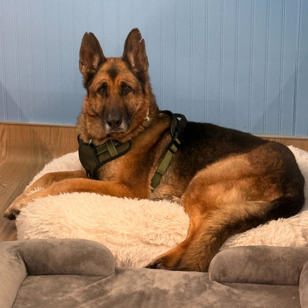 Mario 13839 — thumbnail 2