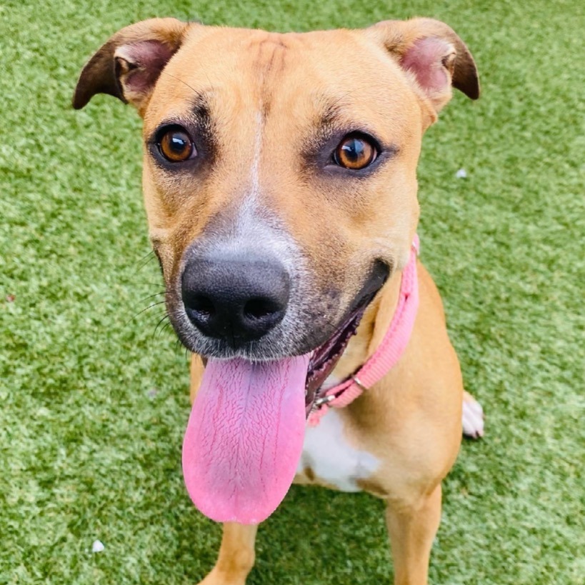 Full body shot of Babycakes