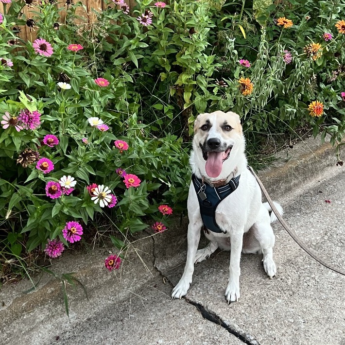 Charlie photo 2