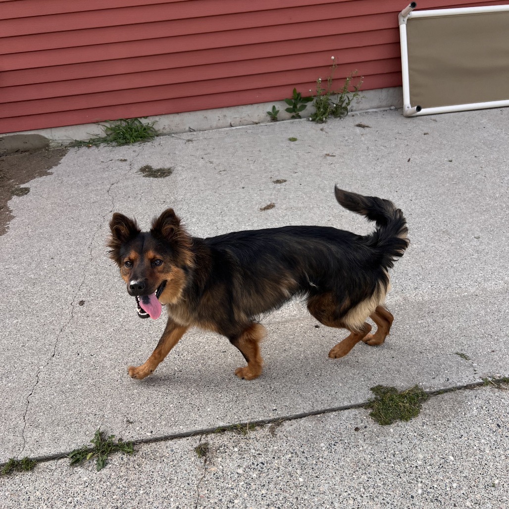 Duchess, photo 12
