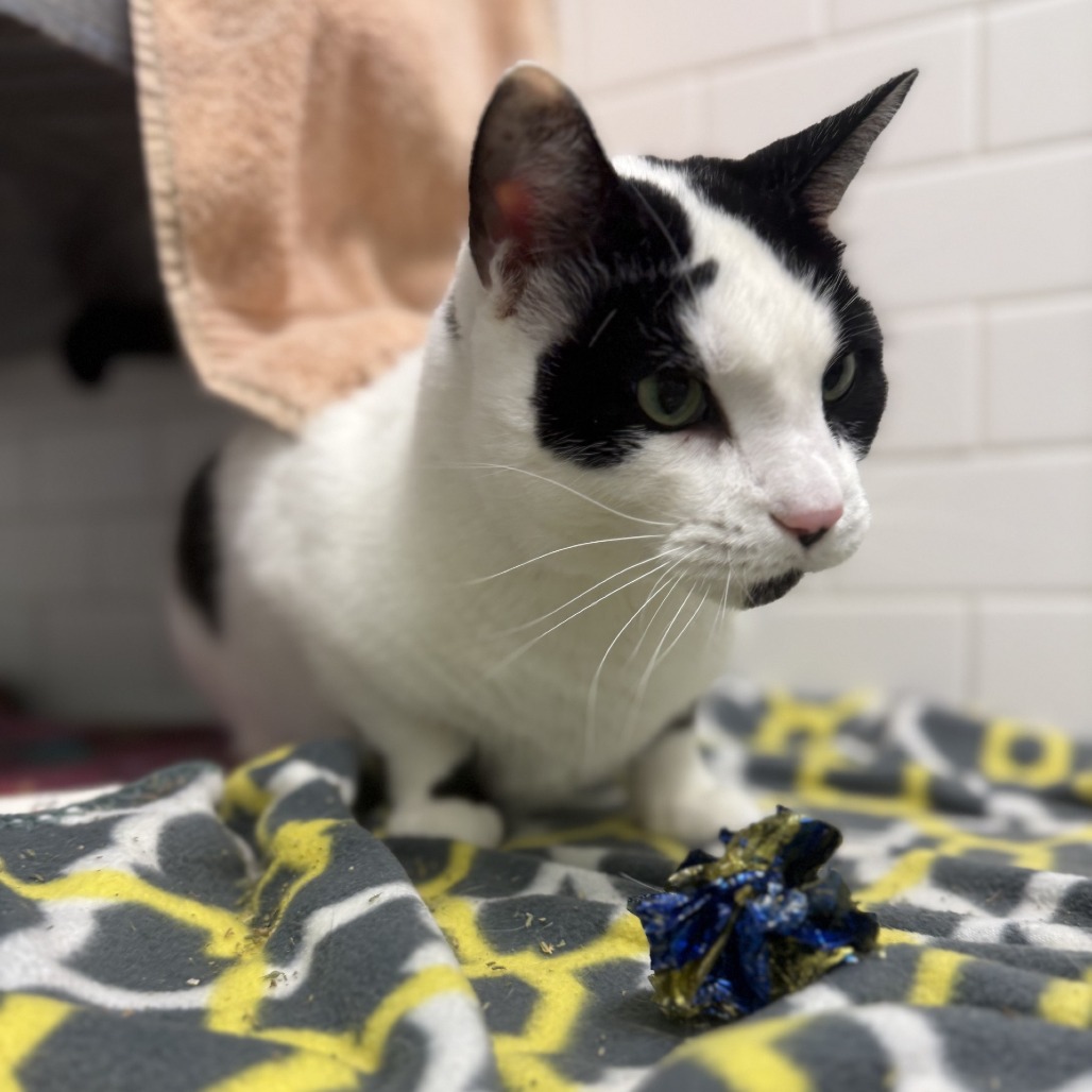 Photo of QZ and Freddy 8