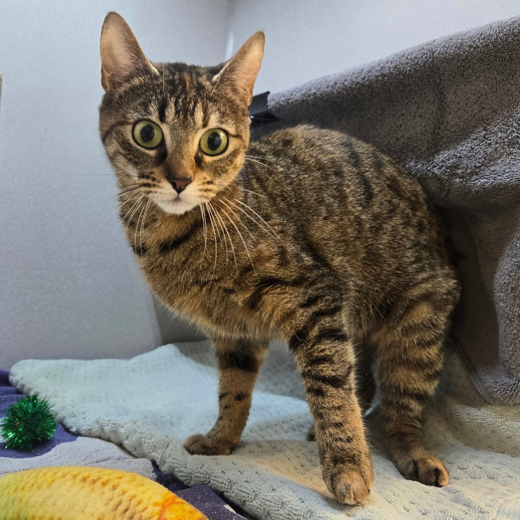 Photo of Little Bit 5