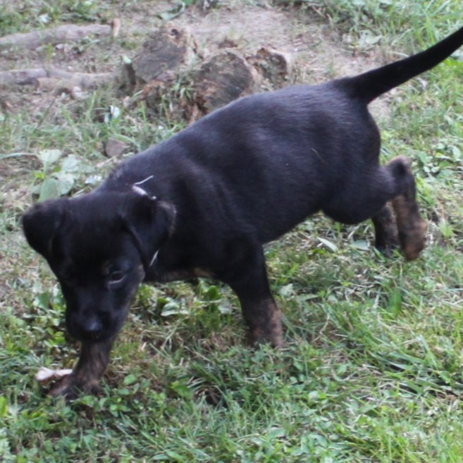 Hadley