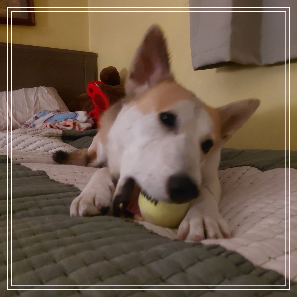 Candy, photo 16