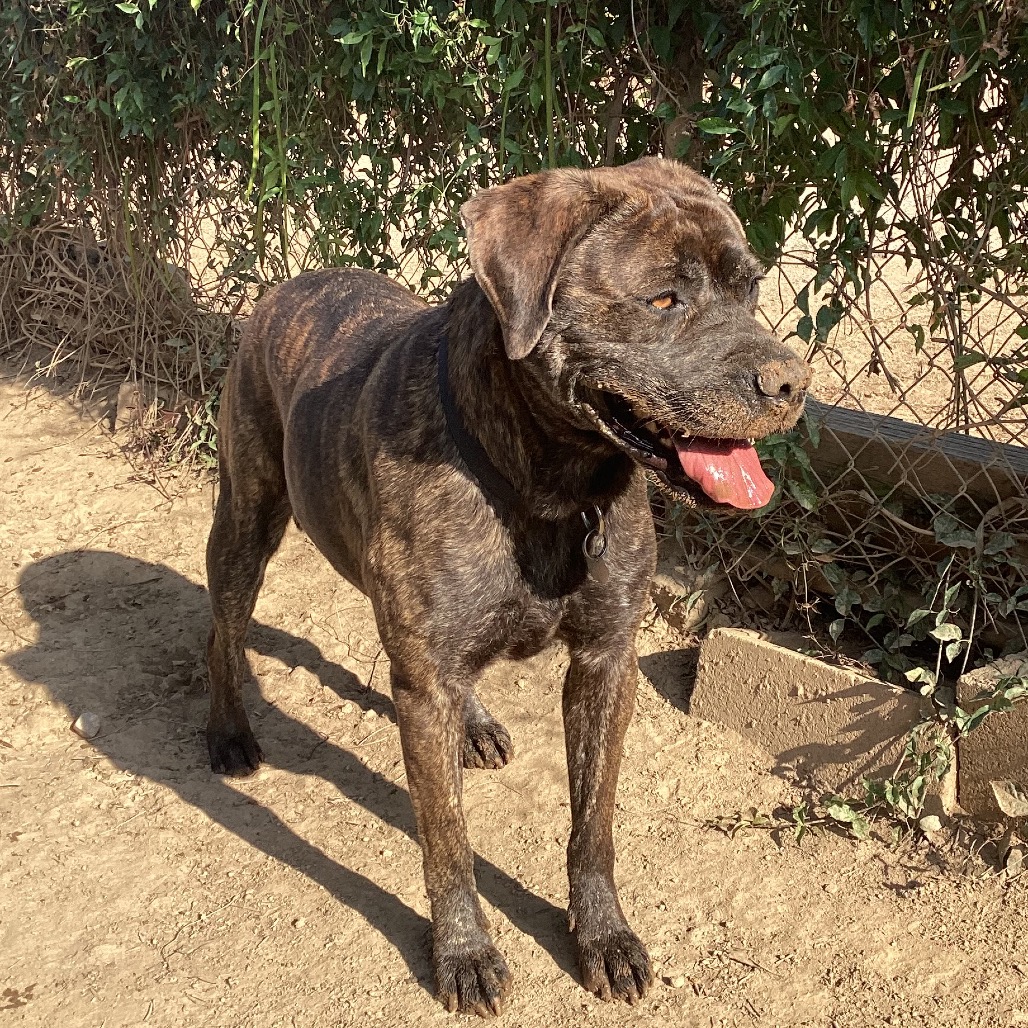 Betty, photo 6