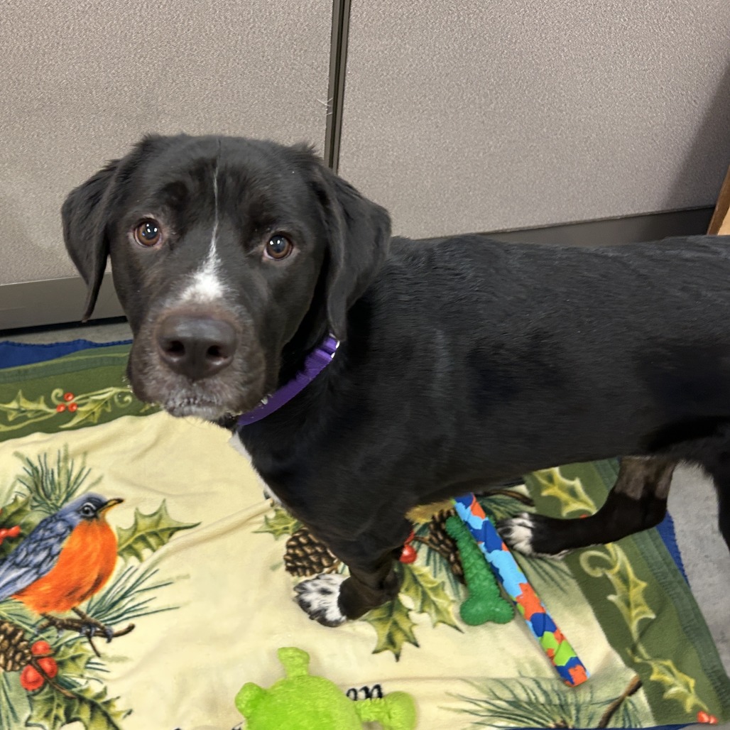 Photo of T.L. Frank 4