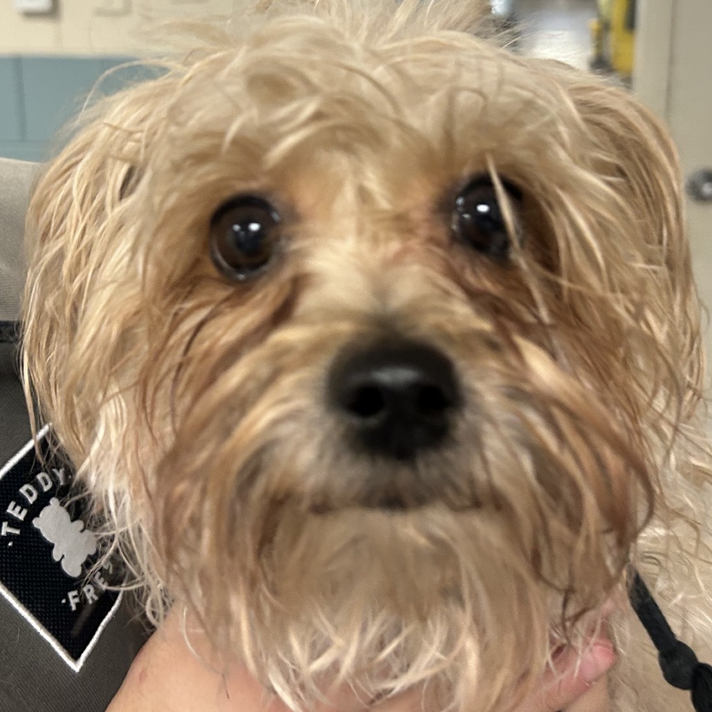 Hannah — thumbnail 2