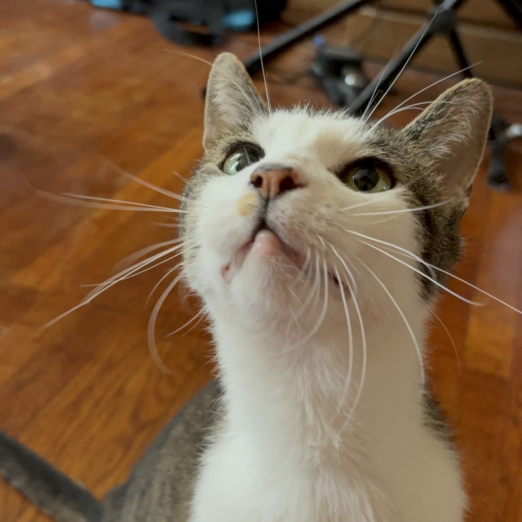 Teddy, photo 15