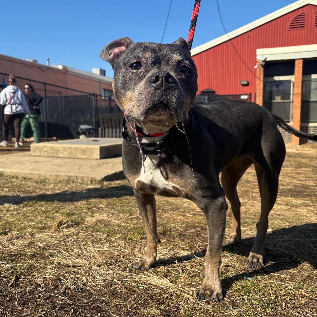 Lucas — thumbnail 2