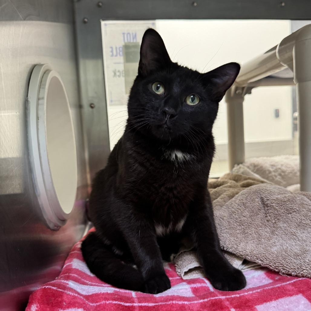 8096d6ca99de913bfc7dd7eba7697d56