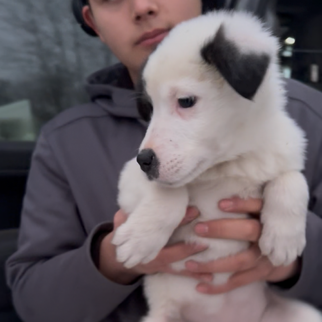 Ramada — thumbnail 3