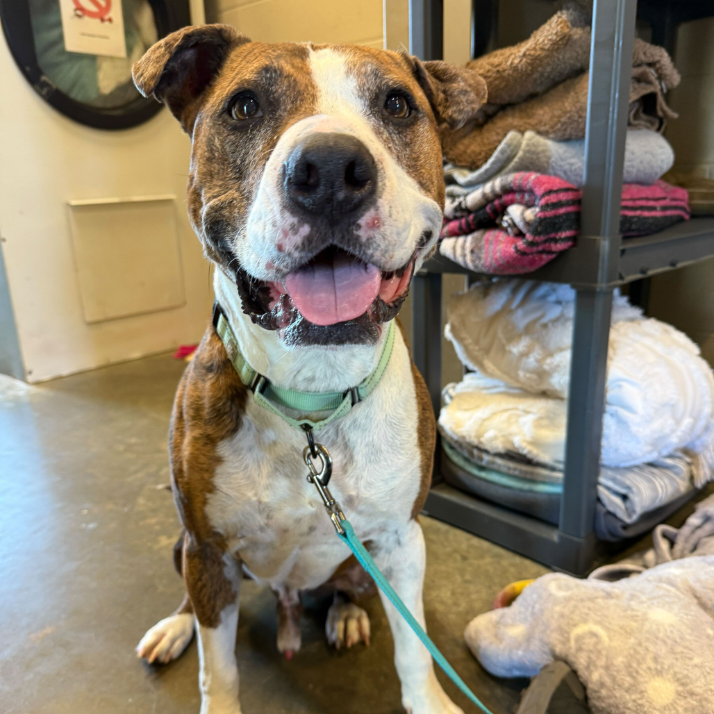 Jax, additional photo