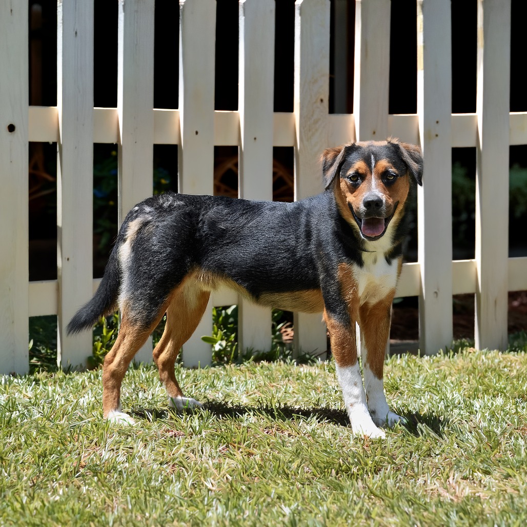 Photo of Casen